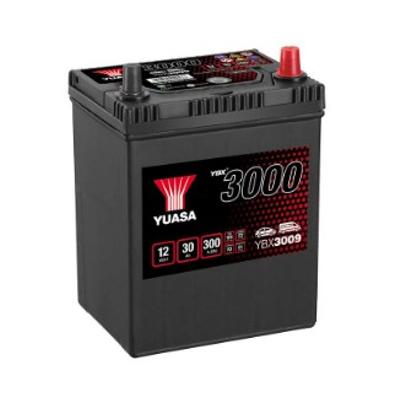 YBX3009